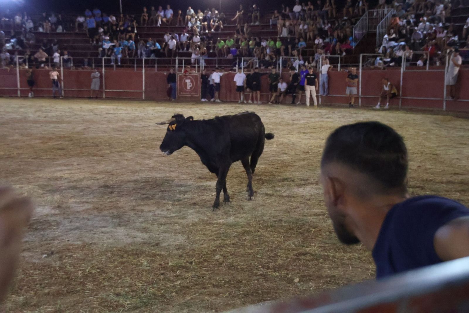 20240815213602-img-3742