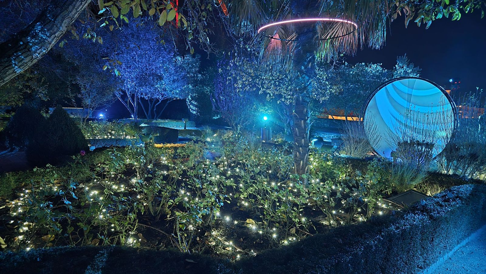 Pase para gráficos del ‘Jardín mágico del Huerto de Calixto y Melibea’