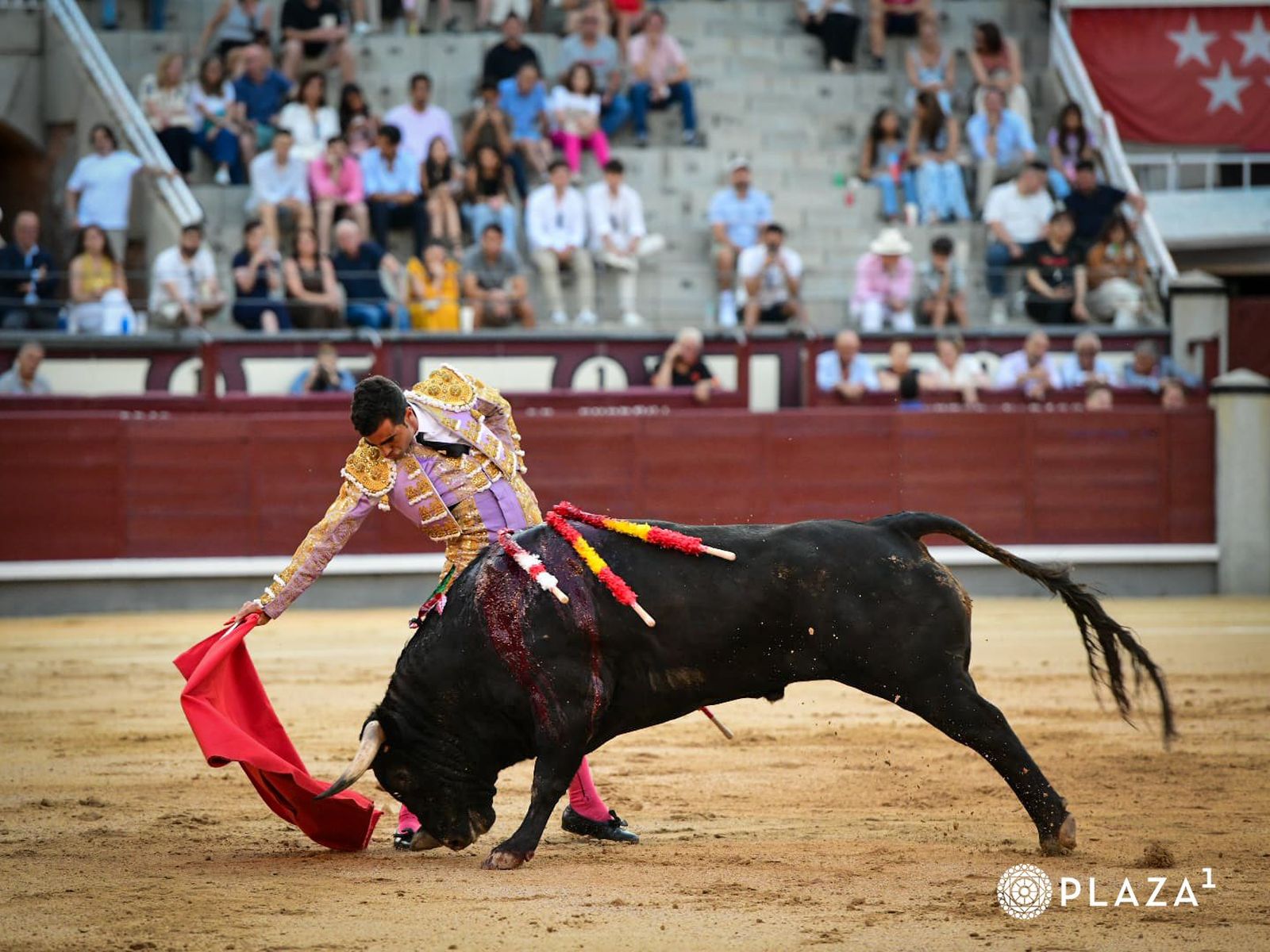 El novillero Pérez Pinto en Las Ventas con Alcotán, el novillo de su presentación