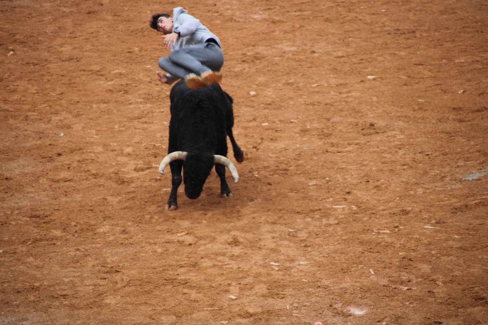 capea-matutina-del-martes-carnaval-de-ciudad-rodrigo-12