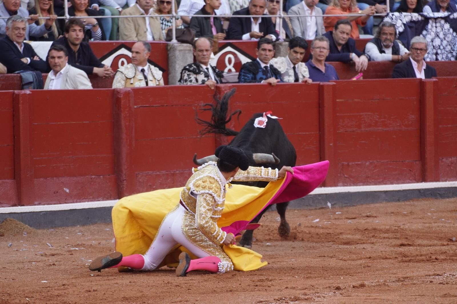 corrida-concurso-momentos-mas-destacados-del-ultimo-festejo-de-abono-de-la-feria-taurina-virgen-de-la-vega-2024-fotos-carlos-h-g-y-juanes-3