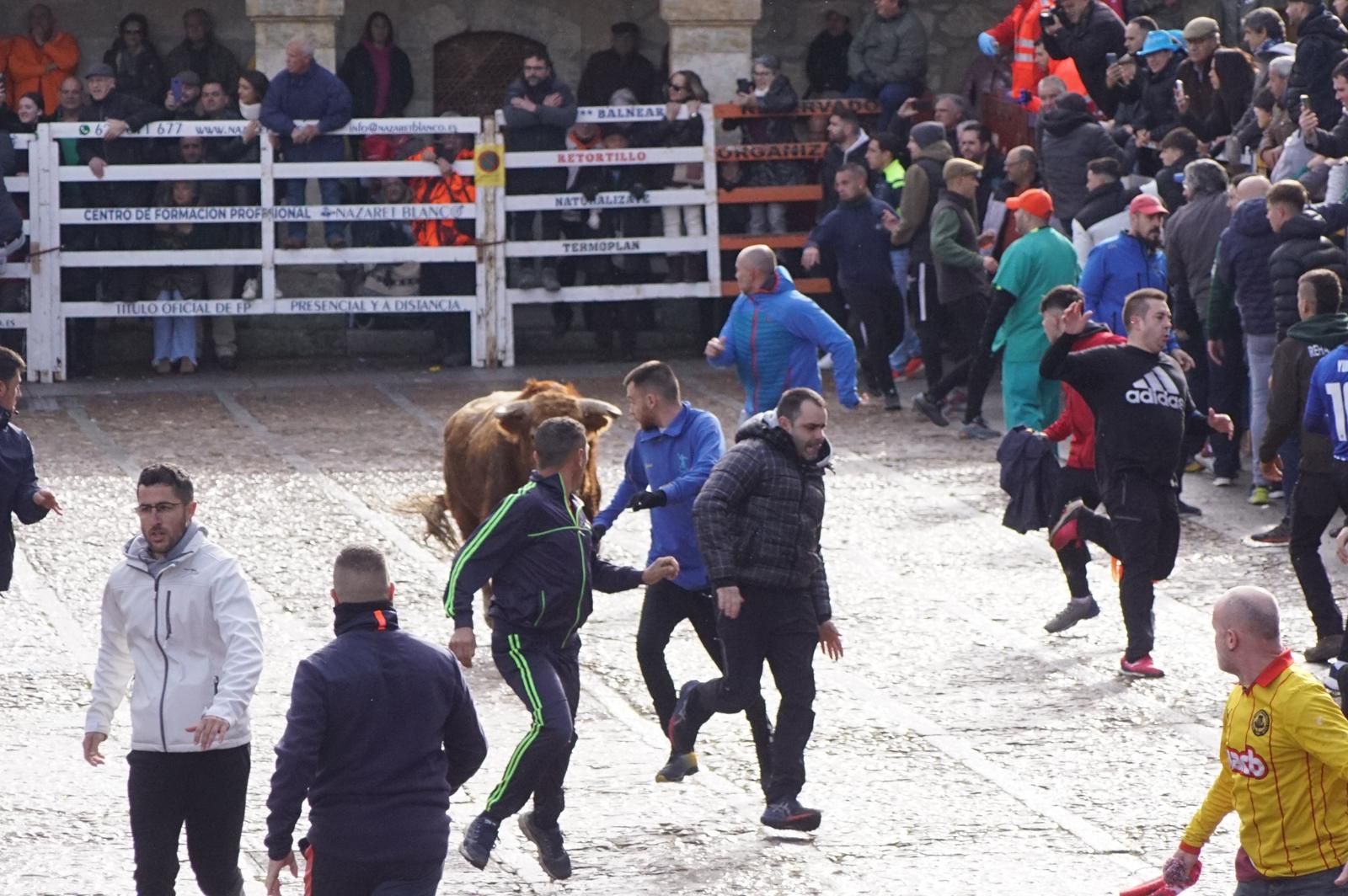 ambiente-encierro-urbano-lunes-de-carnaval-en-ciudad-rodrigo-12-de-febrero-de-2024-fotos-s24h-35