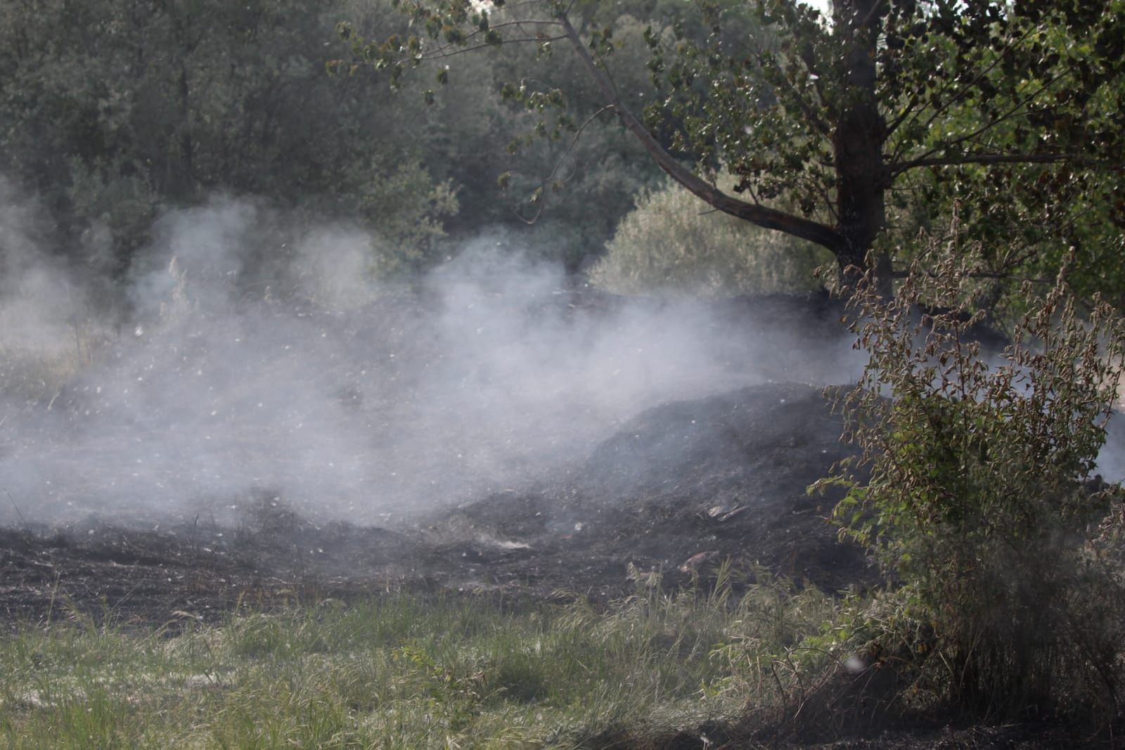 whatsapp-image-2023-05-09-at-18-36-21