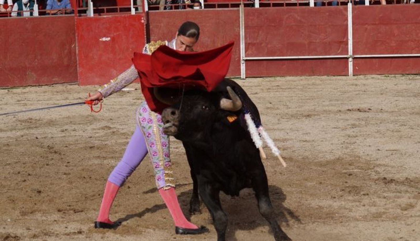 Novillada en Carrascal de Barregas 