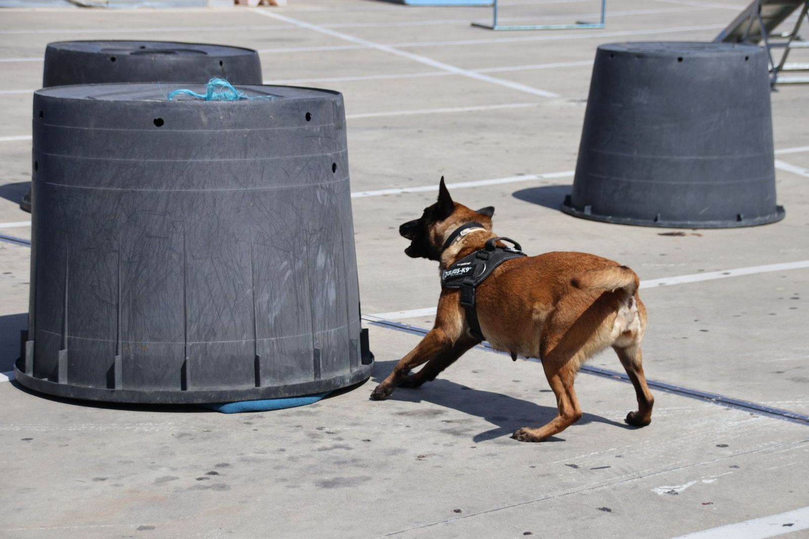 20230608103116-img-0454