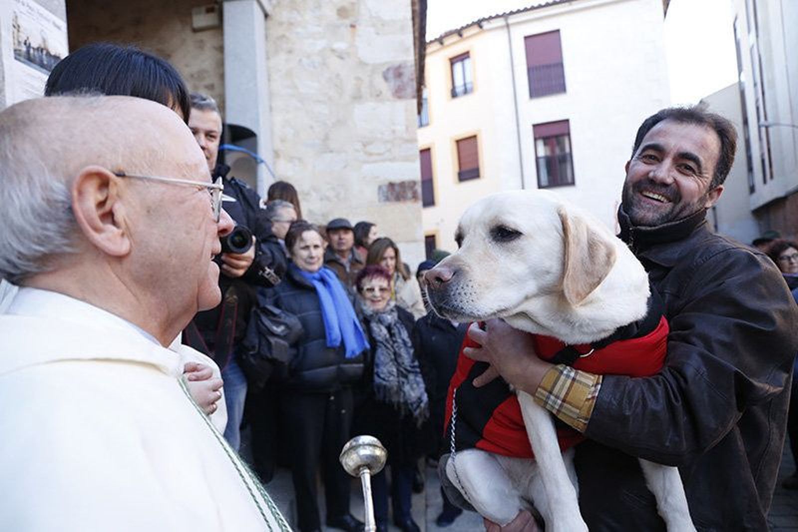 Bendición de animales por San Antón