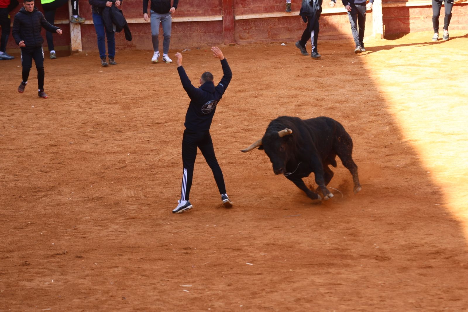 Capea de mañana en el martes del Carnaval del Toro de Ciudad Rodrigo