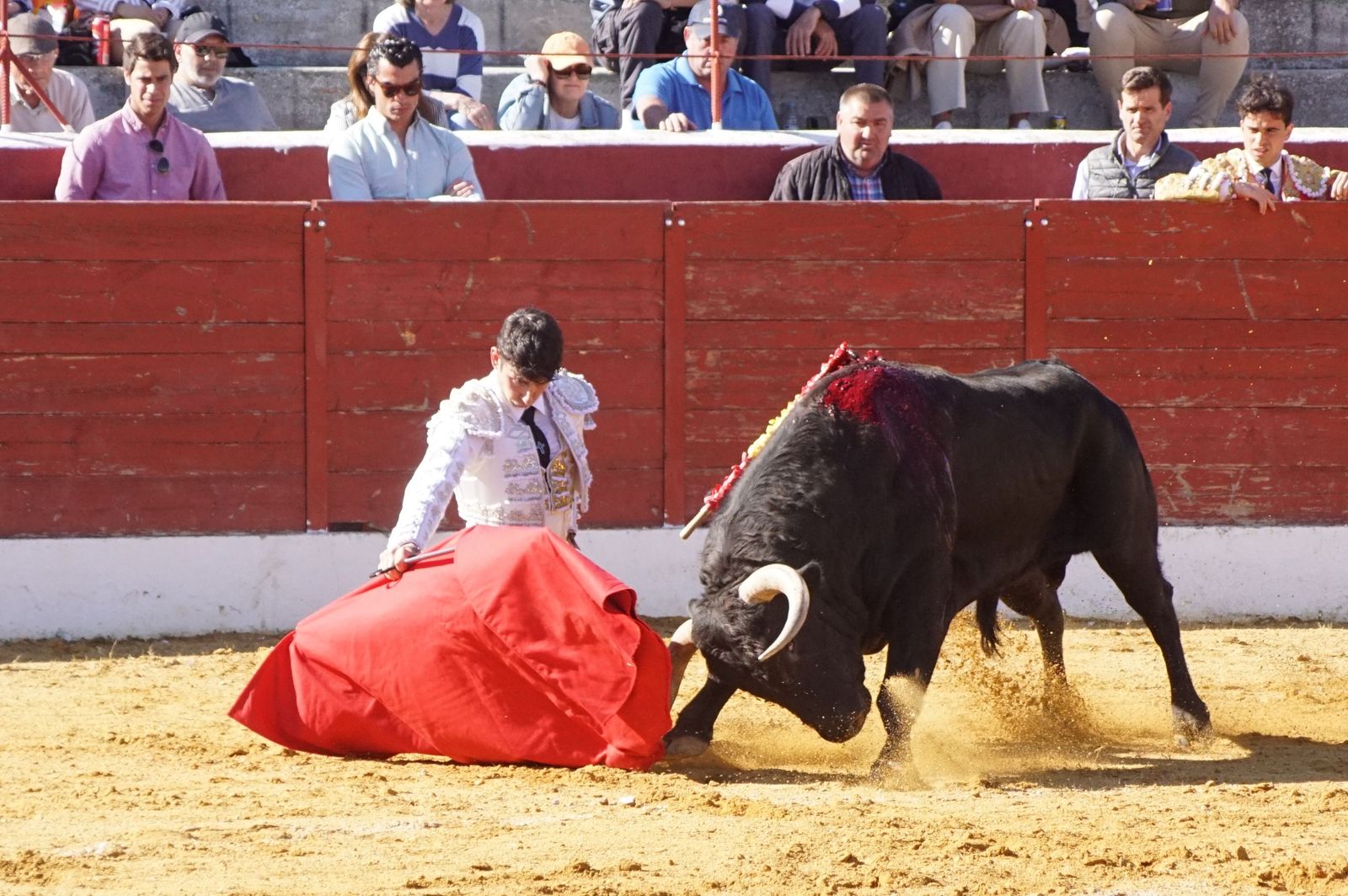 novillada-con-picadores-en-villoria-30