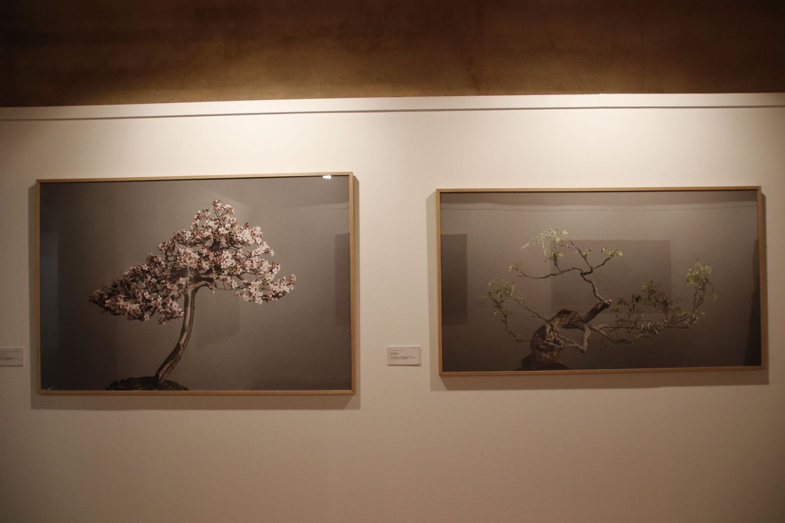 20220120105827-mg-4486