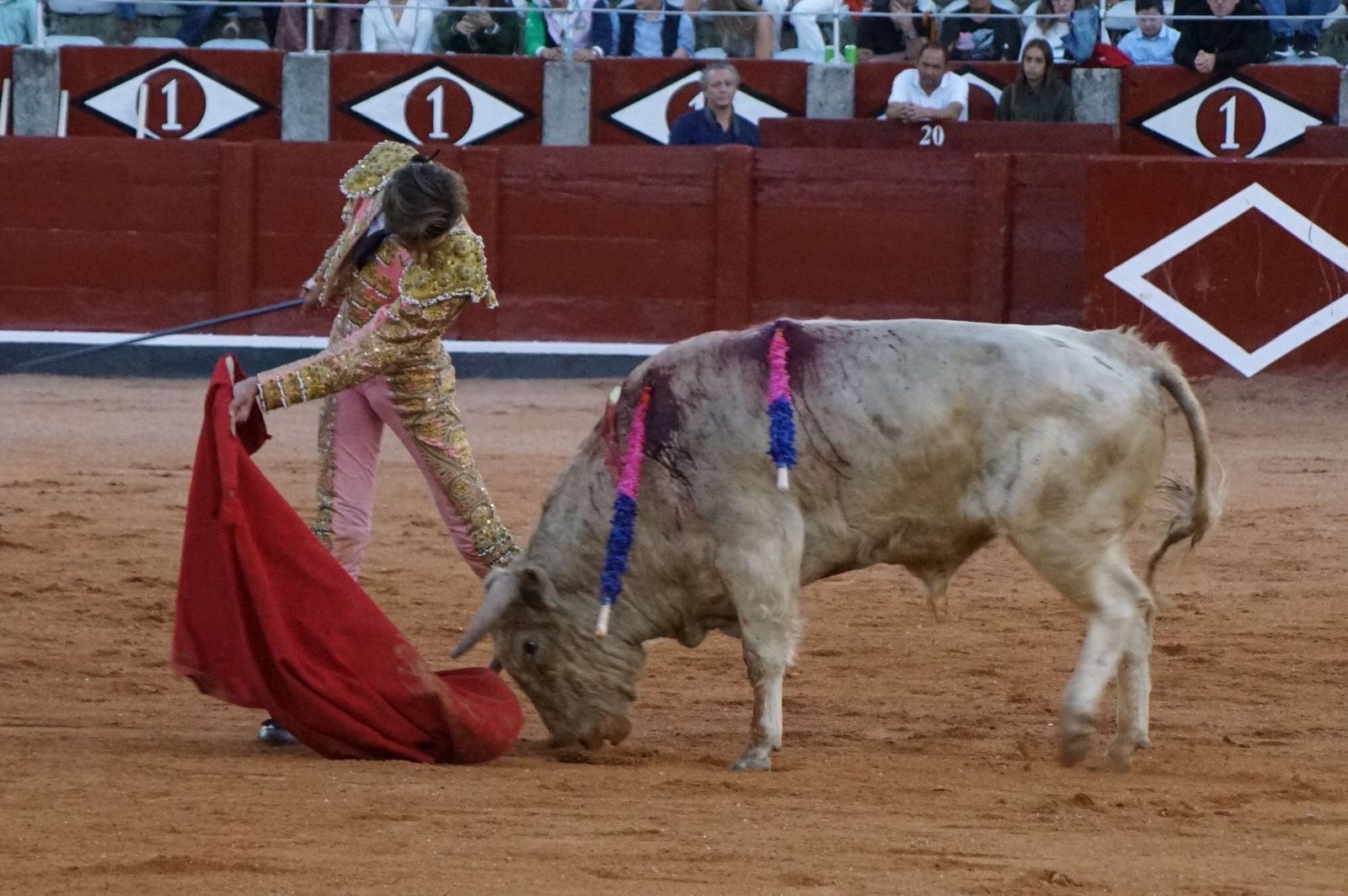 whatsapp-image-2022-09-08-at-9-22-07-pm