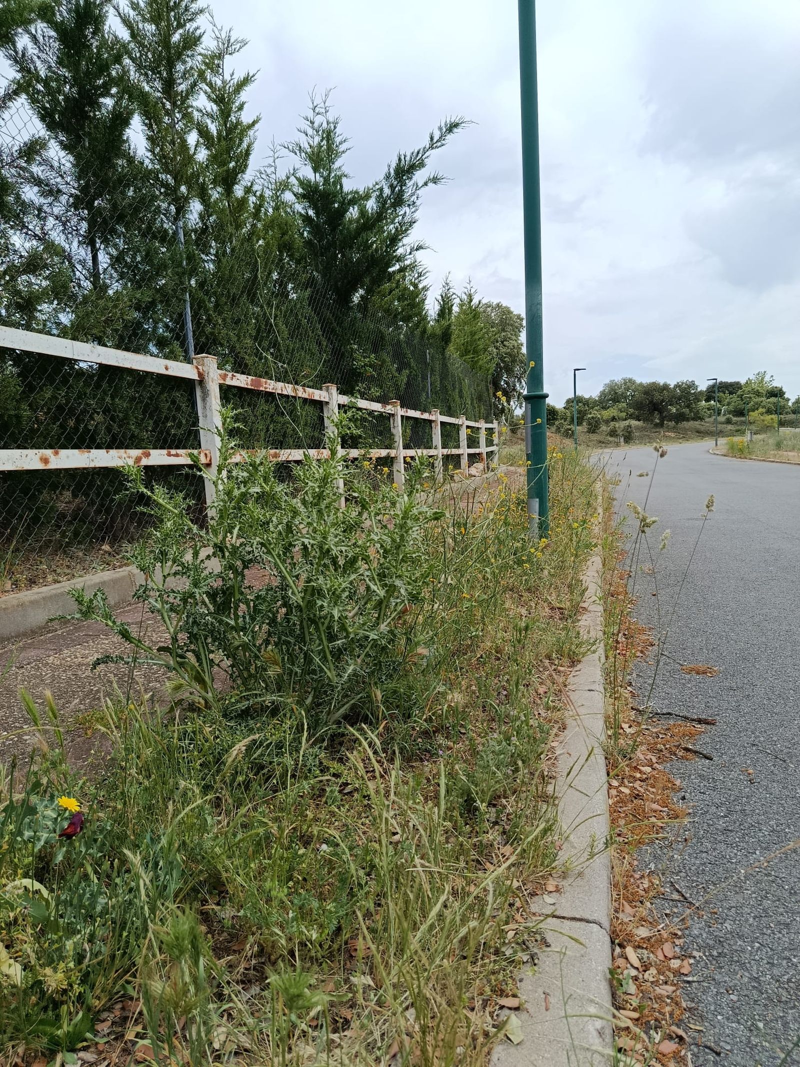 Urbanización Oasis Golf en Carrascal de Barregas  (15).jpeg