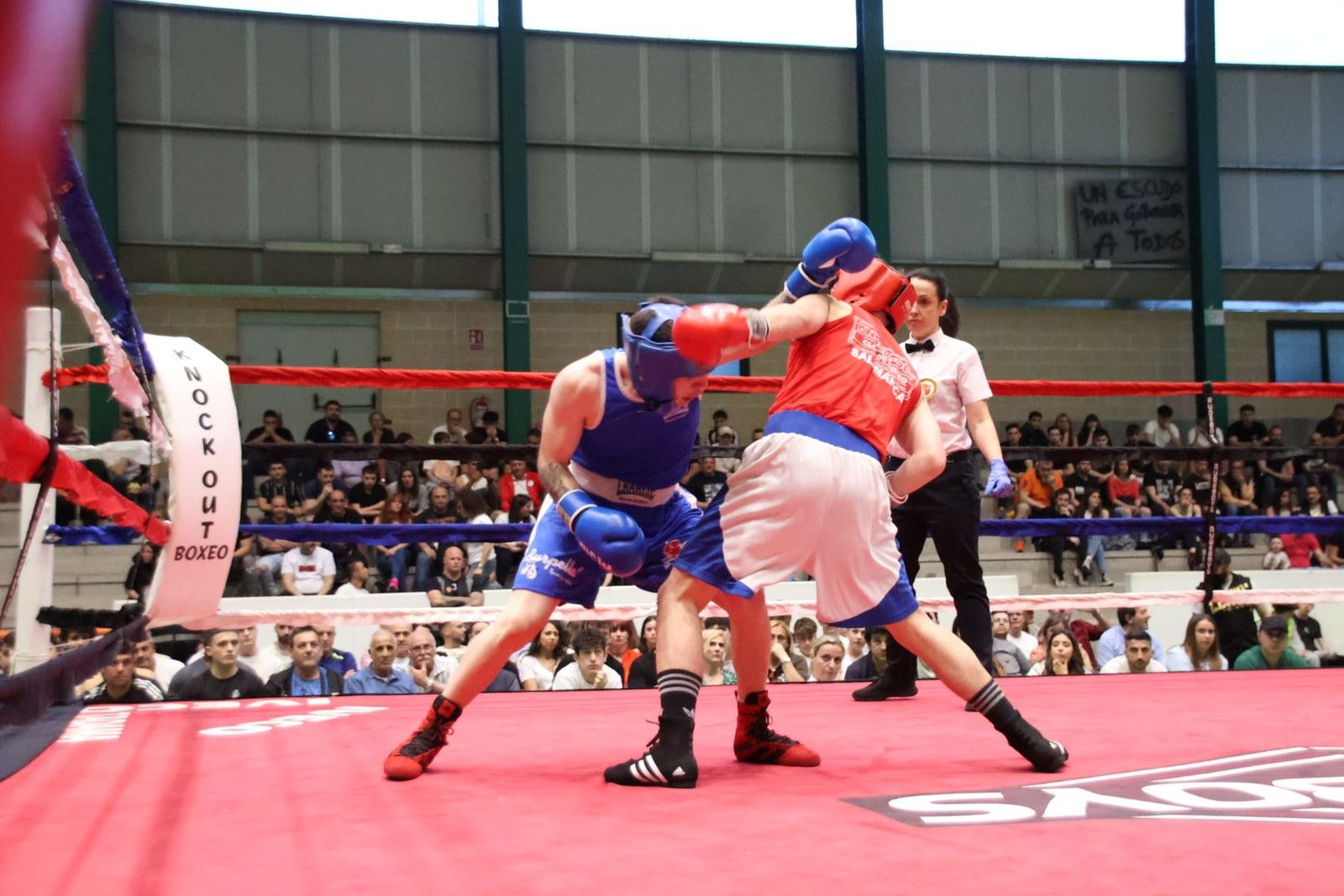 20240413200245-img-8681