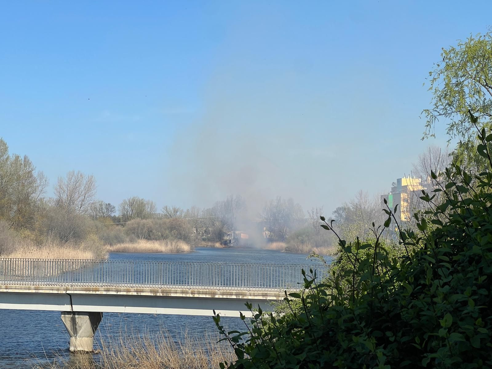 Incendio de vegetación en Santa Marta (2)