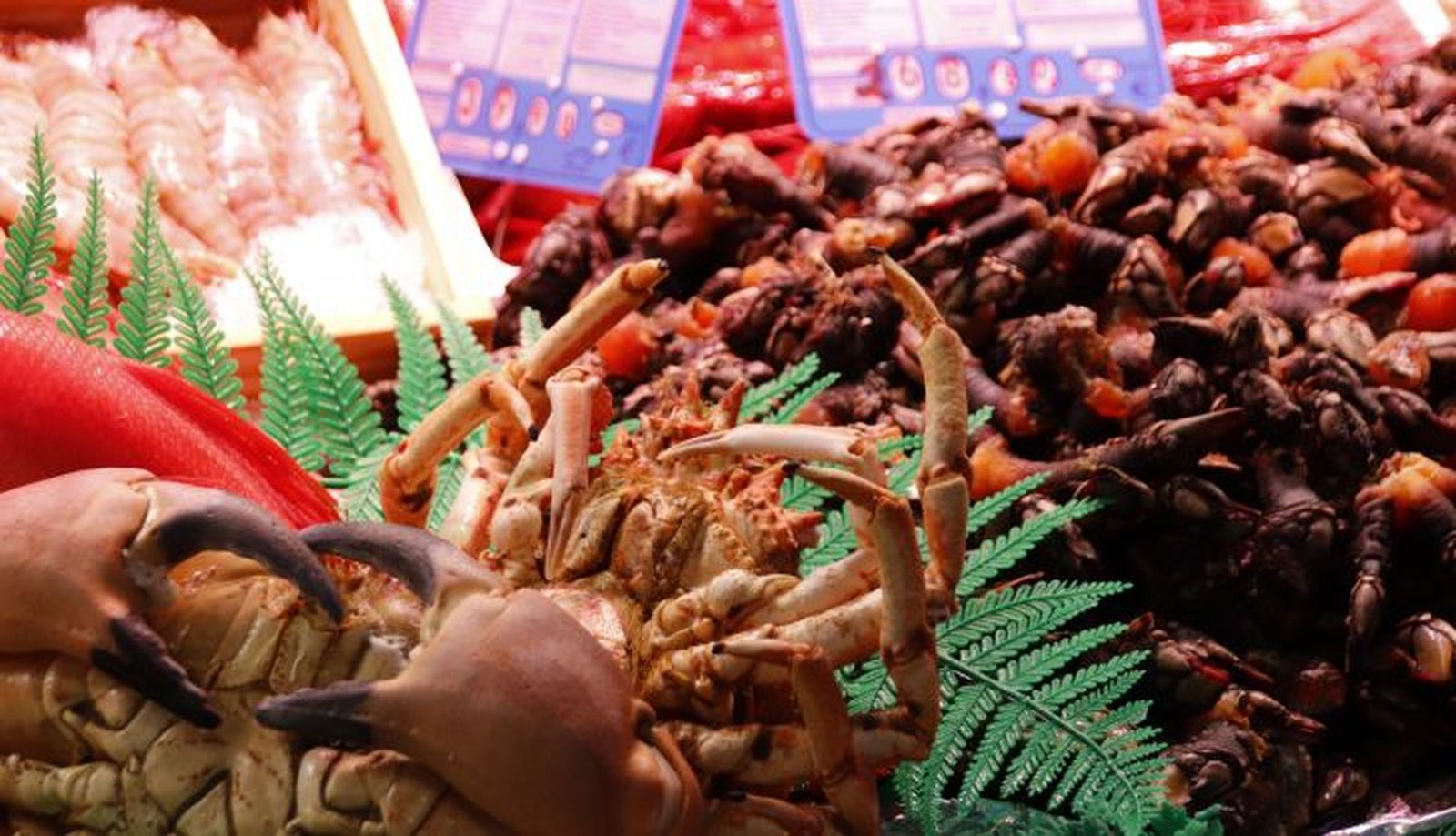  Productos navideños | Fotos: Andrea M