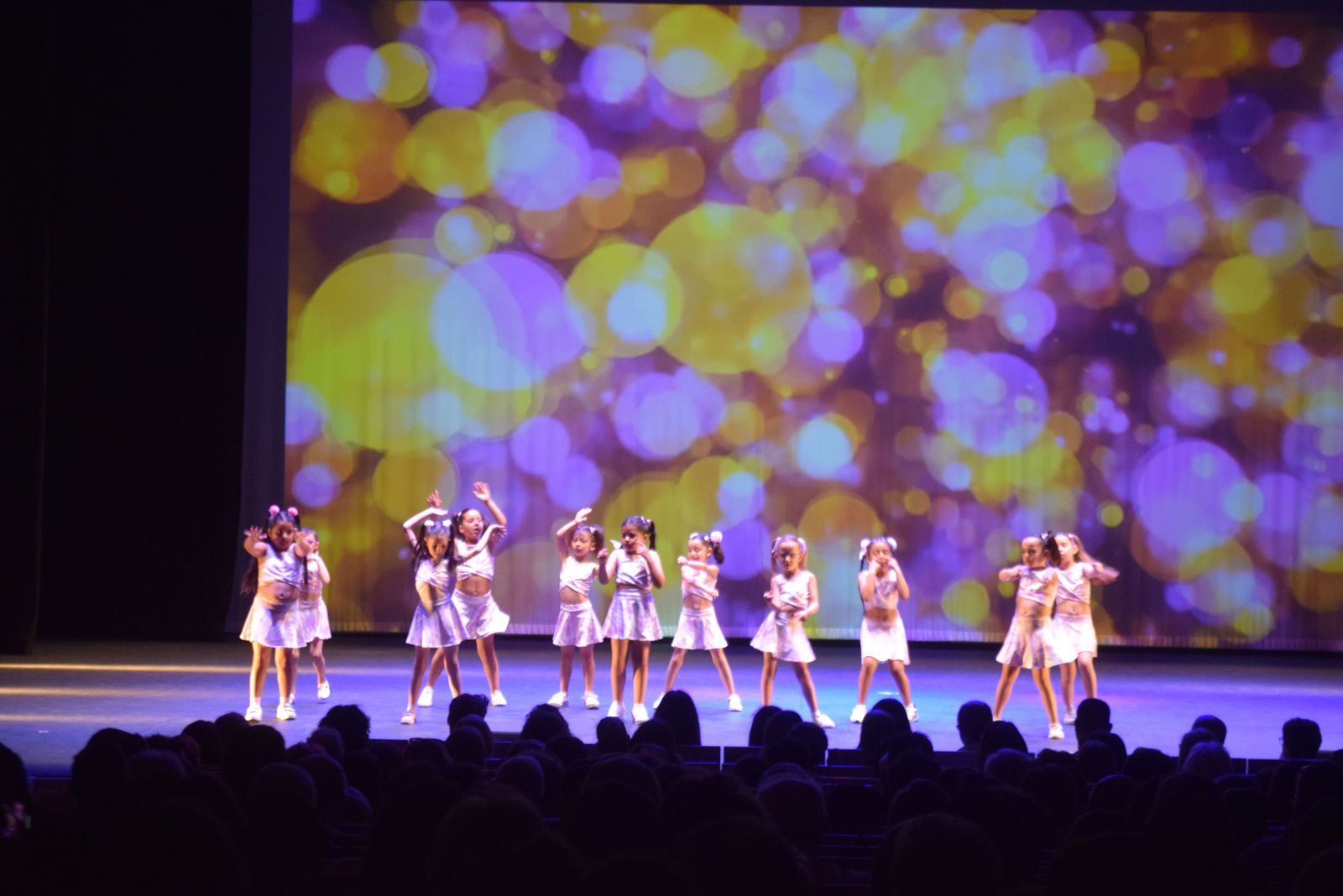 espectaculo-volver-de-escena-en-el-teatro-ramos-carrion-20