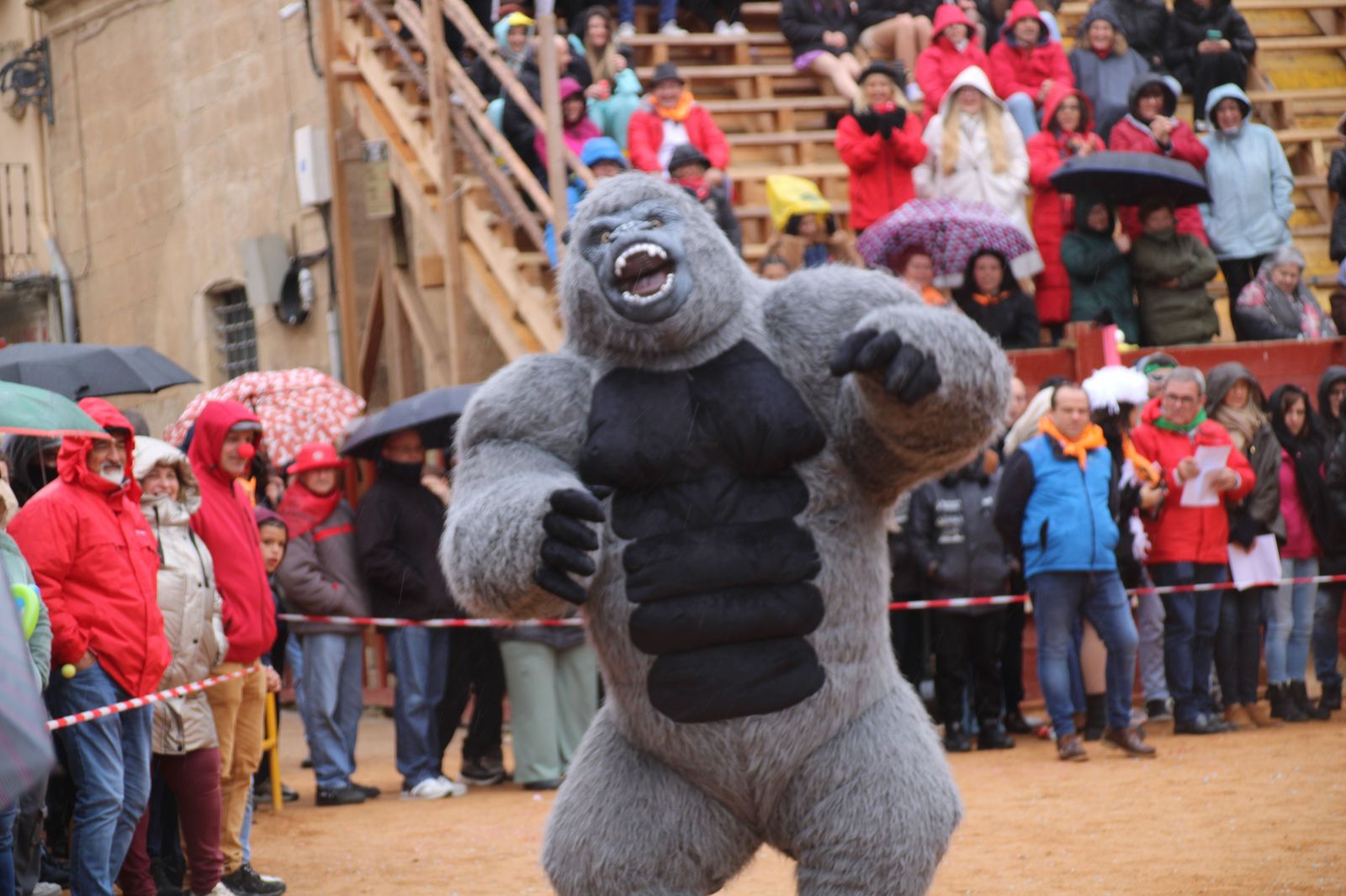 desfile-disfraz-callejero-sabado-carnaval-ciudad-rodrigo-2025-43