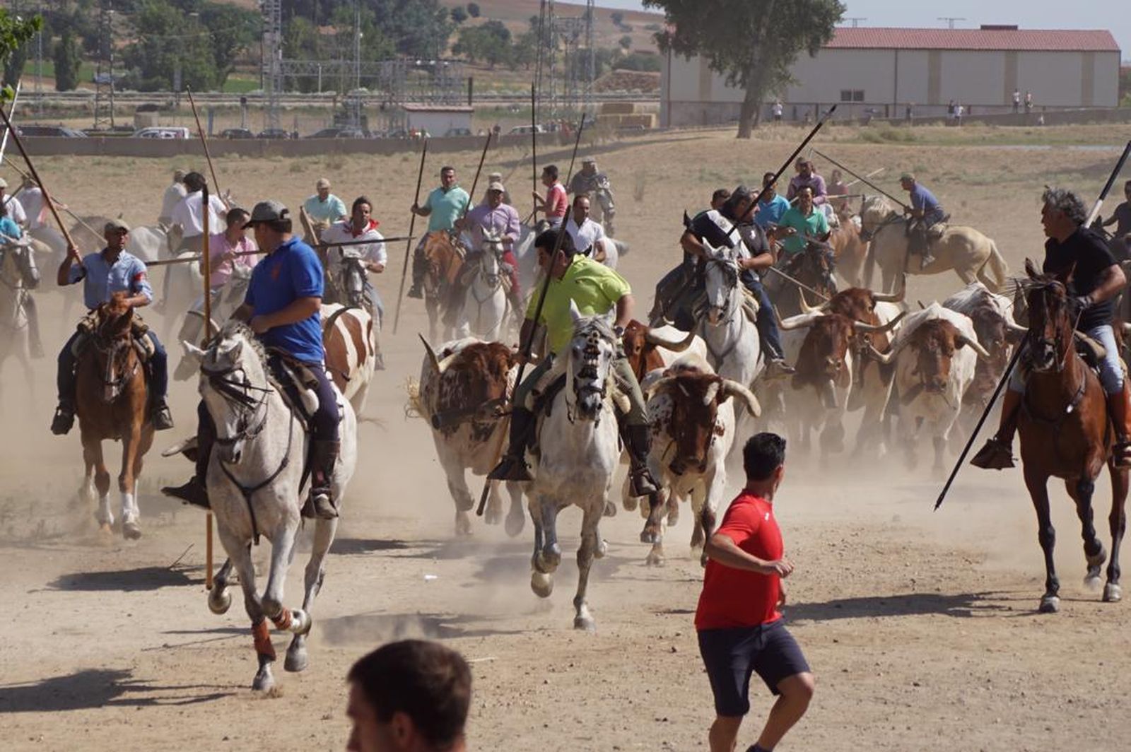 espantes-de-fuentesauco-45