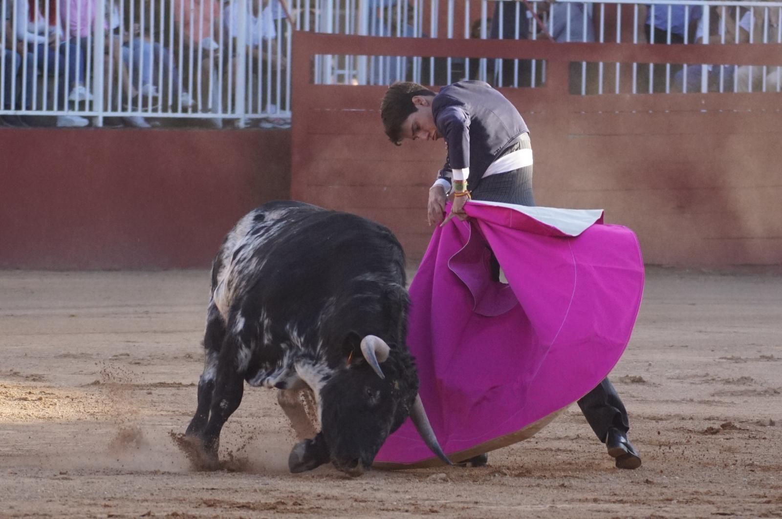 whatsapp-image-2024-09-07-at-20-48-36