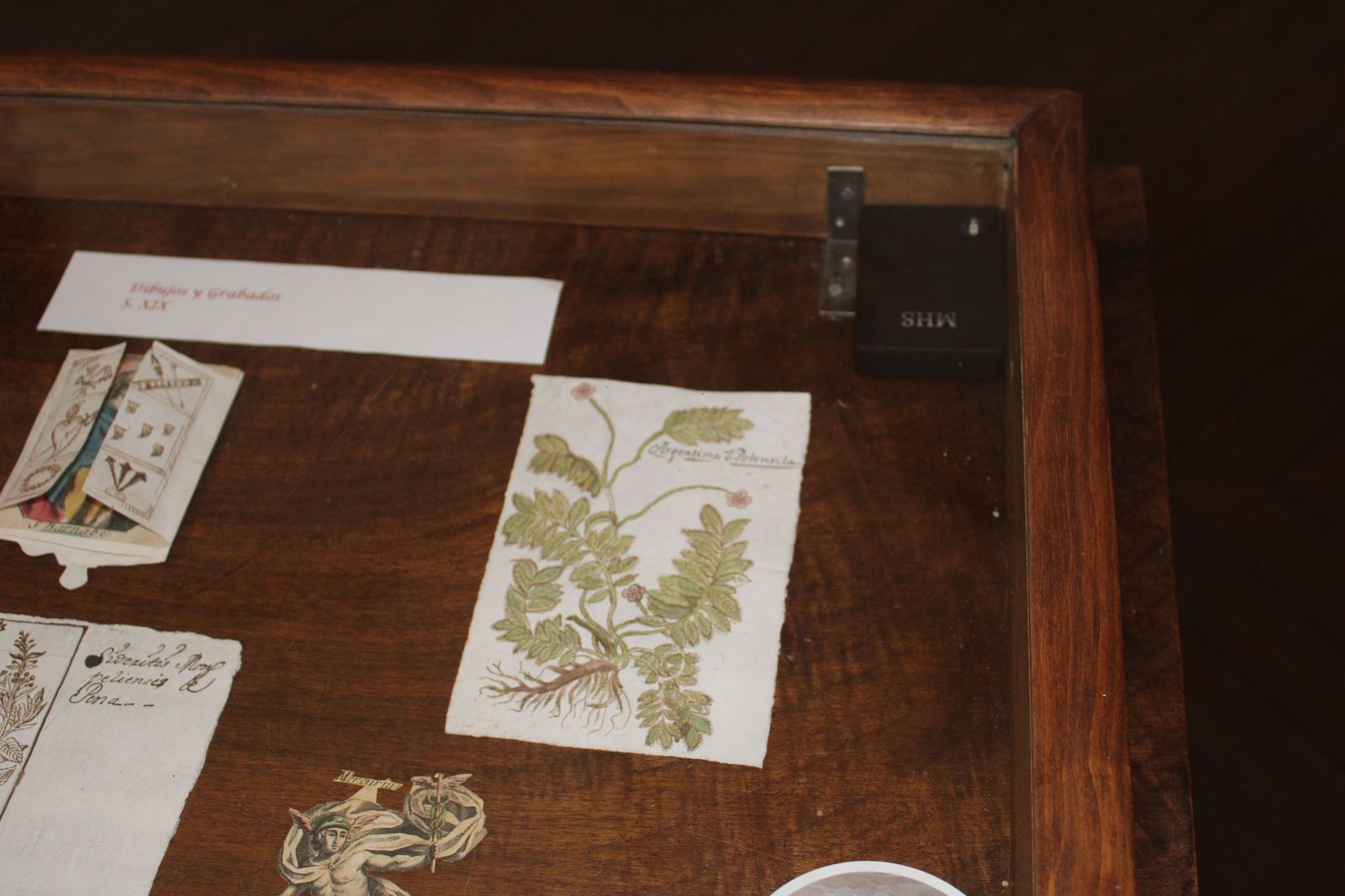 biblioteca-usal-serendipias-libros-historicos-directora-de-la-biblioteca-de-la-usal-libros-8