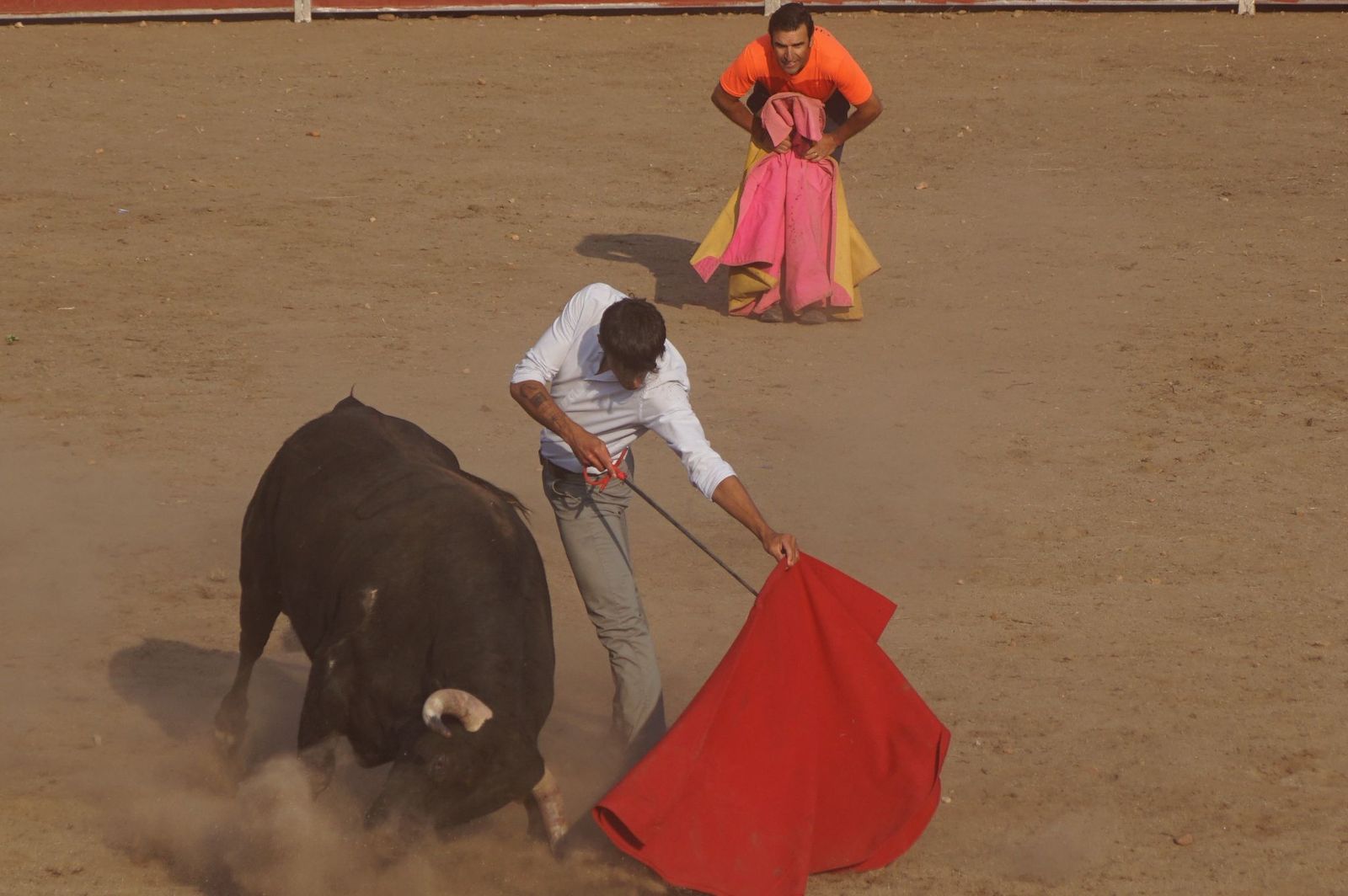 Carreras, risas y tradición: así se ha vivido El Toro en Santa Marta
