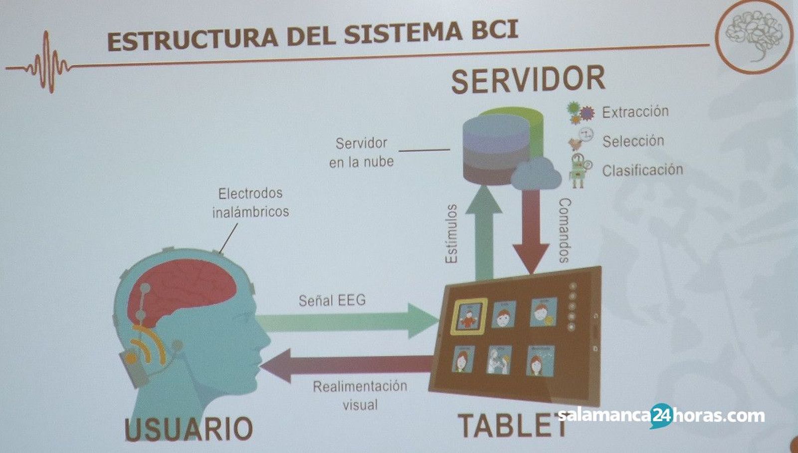 Spellbrain Aspace Salamanca (2)