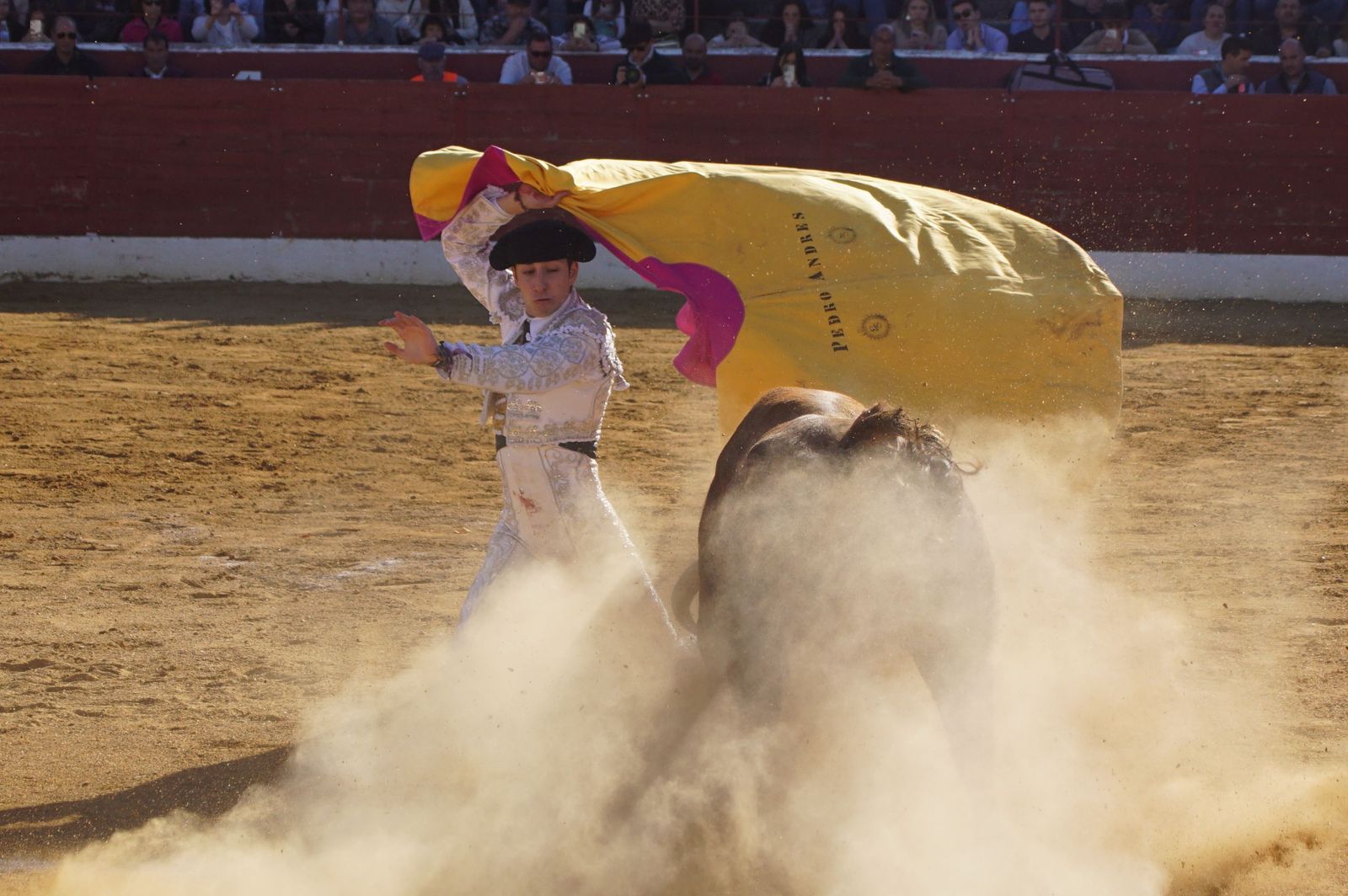 novillada-con-picadores-en-villoria-68