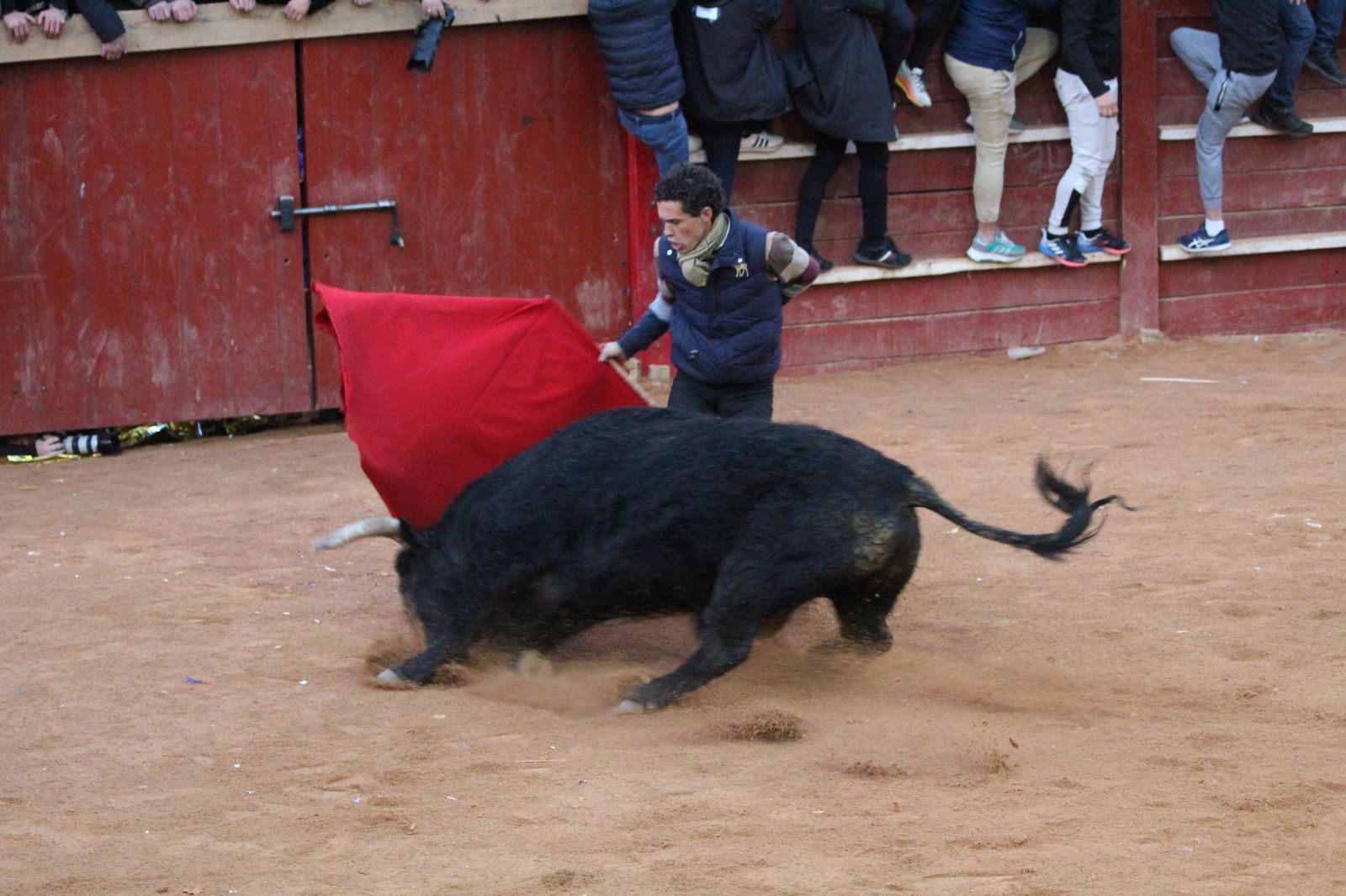 capea-de-ciudad-rodrigo-10