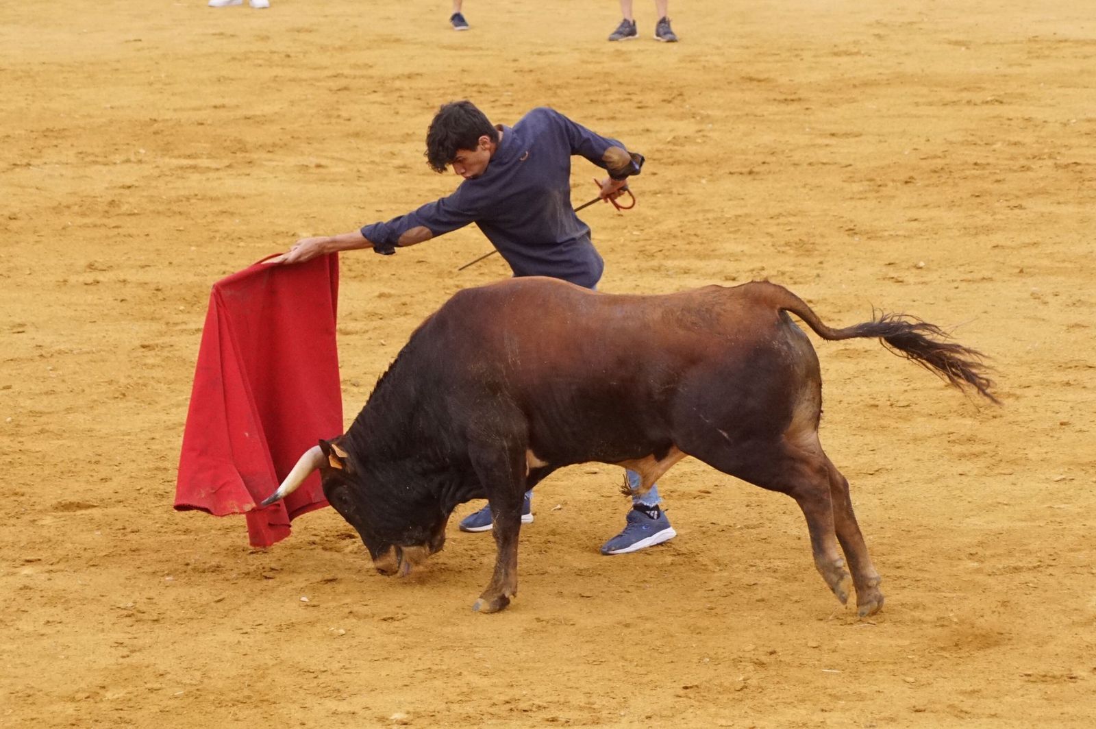 74718b97-2175-49ba-b75d-8f6f28063542