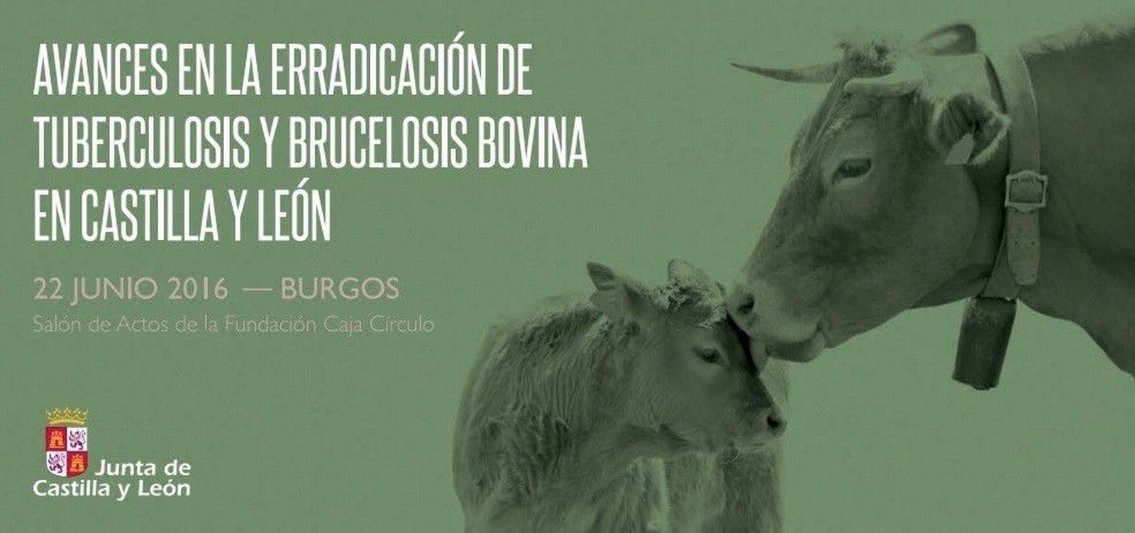 Jornada para analizar los avances en la erradicación de tuberculosis y brucelosis bovina en Castilla y León