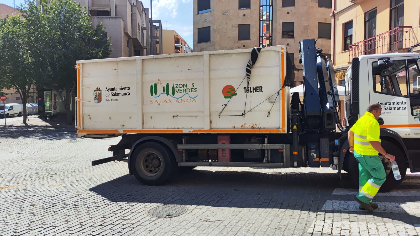 Retirada de un árbol caído en la plaza del Oeste