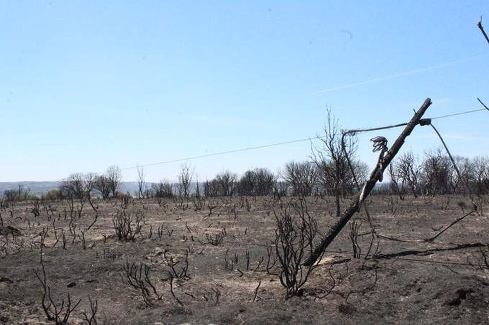 La zona afectada por el incendio muestra la peor cara del fuego en Pino del Oro