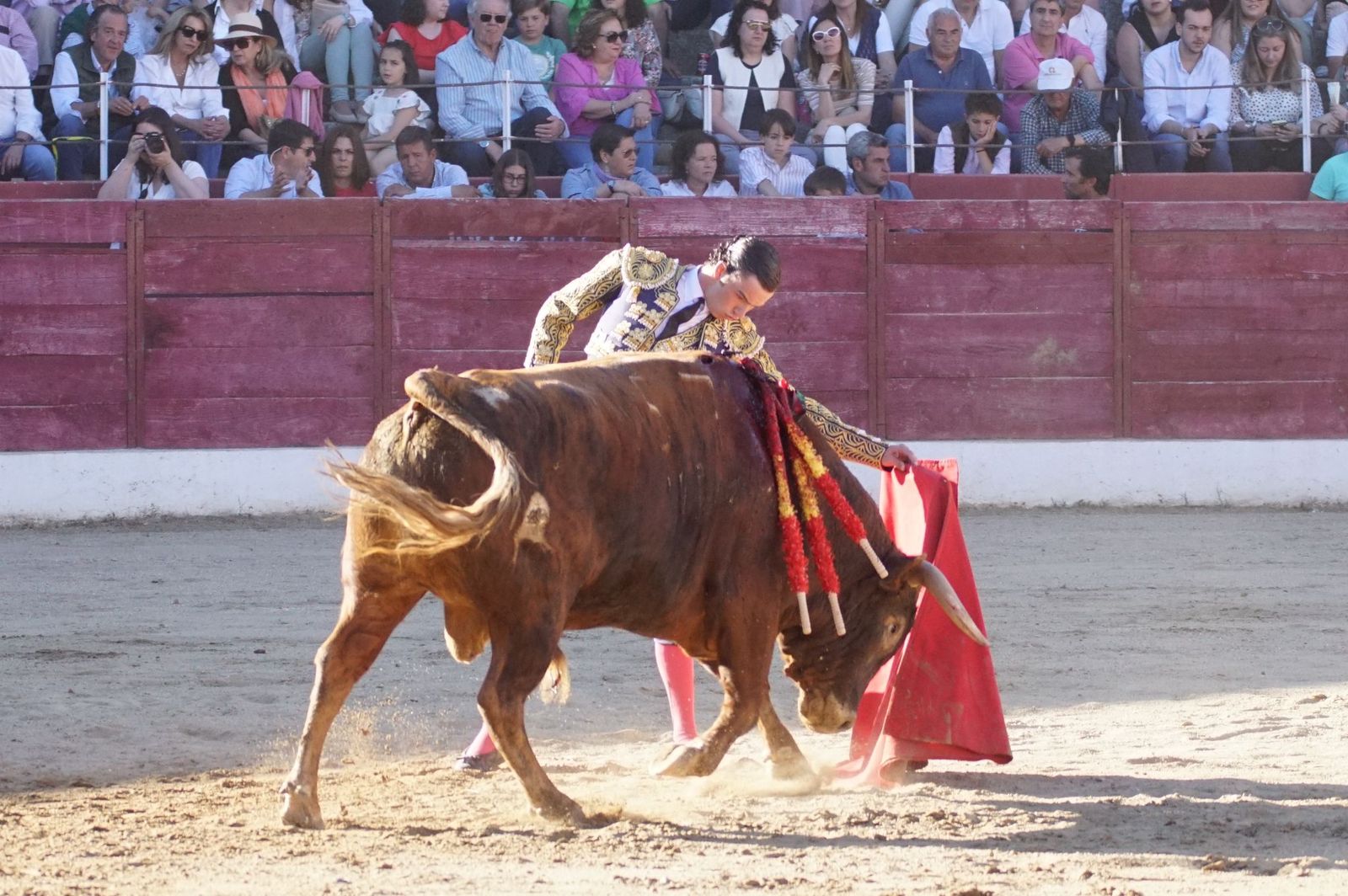 whatsapp-image-2024-06-02-at-22-11-55