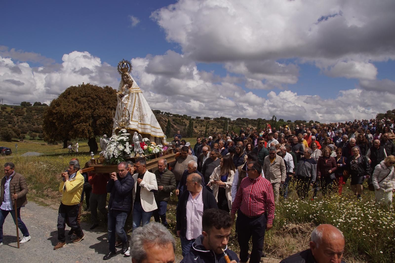 whatsapp-image-2024-05-19-at-14-19-49-1