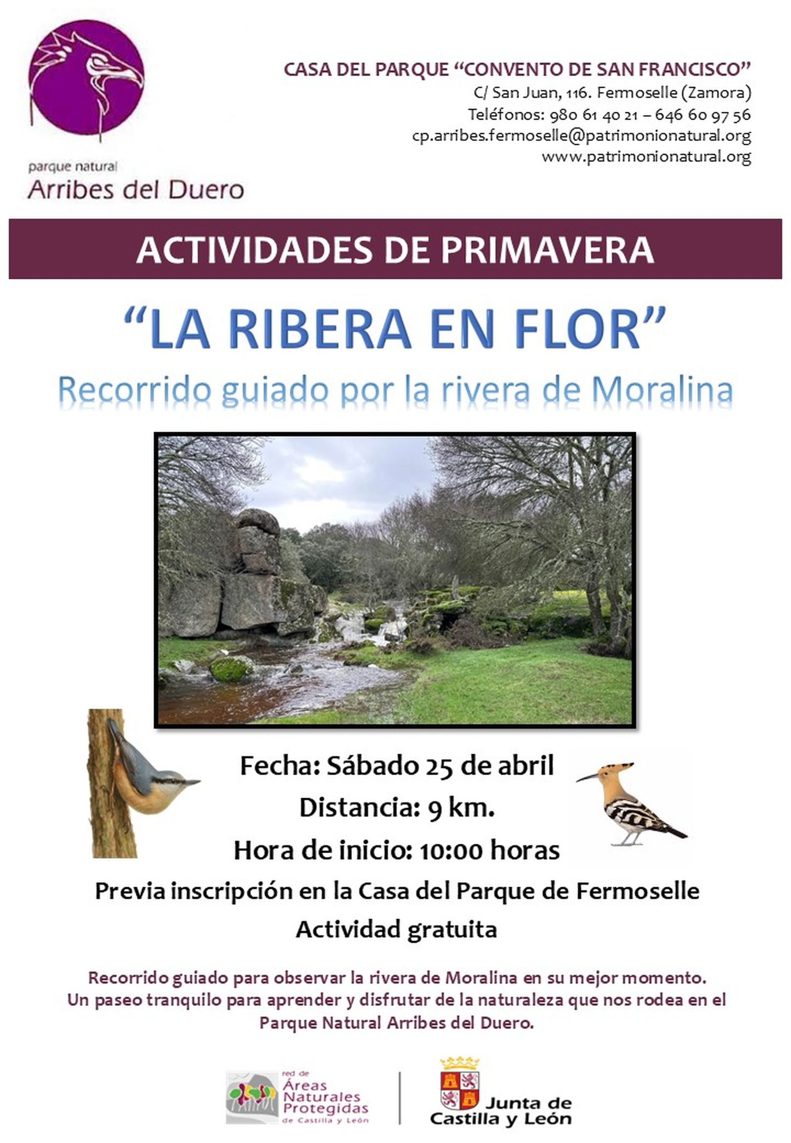 Cartel de la actividad 'La ribera en flor'