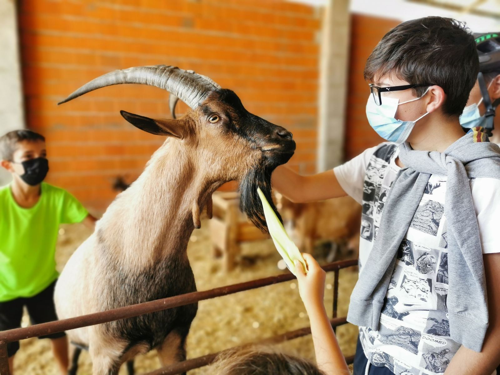 semana-cultural-en-casaseca-de-las-chanas-11