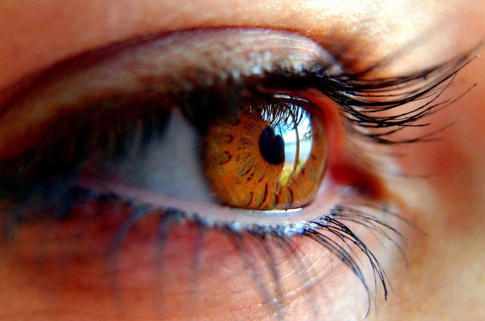 Semana Mundial del Glaucoma. EP. Archivo