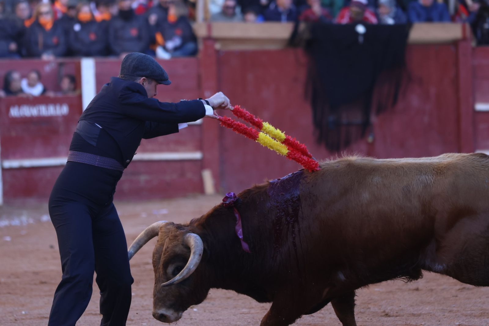 Festival taurino del Sábado en el Carnaval del Toro 2026 de Ciudad Rodrigo