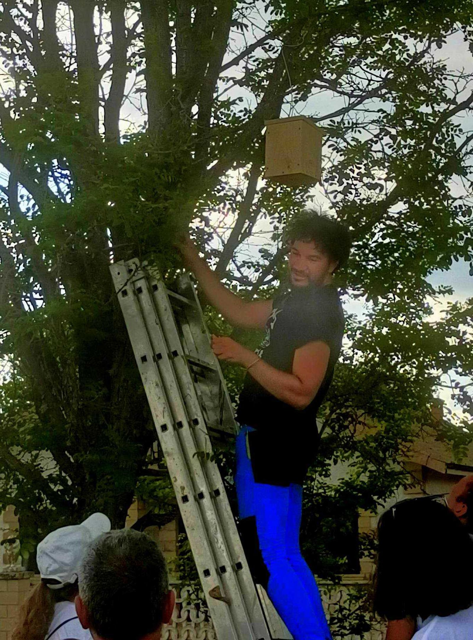 Instalación de una caja nido en un árbol. CrioSanabria
