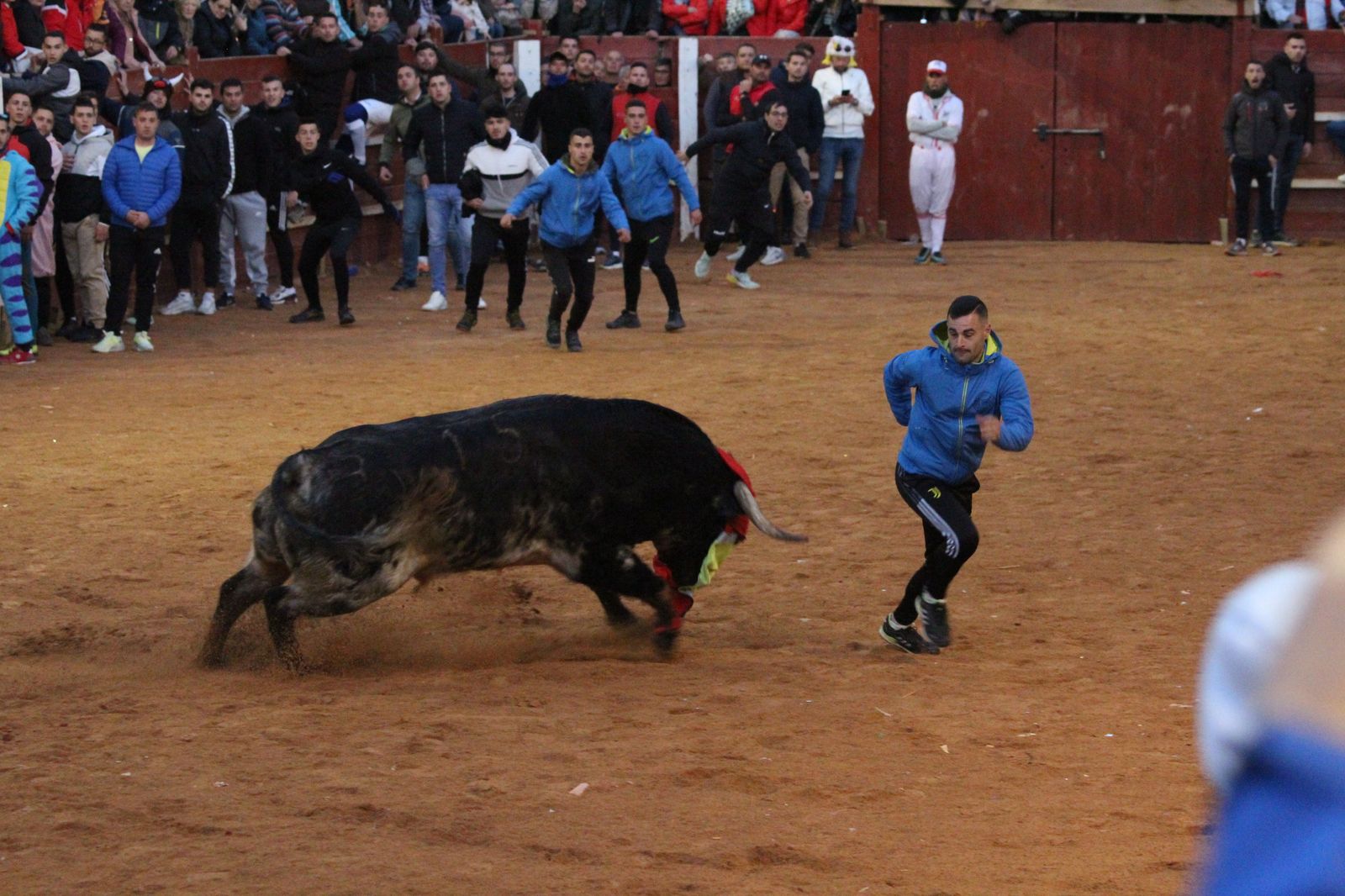 capea-de-ciudad-rodrigo-34