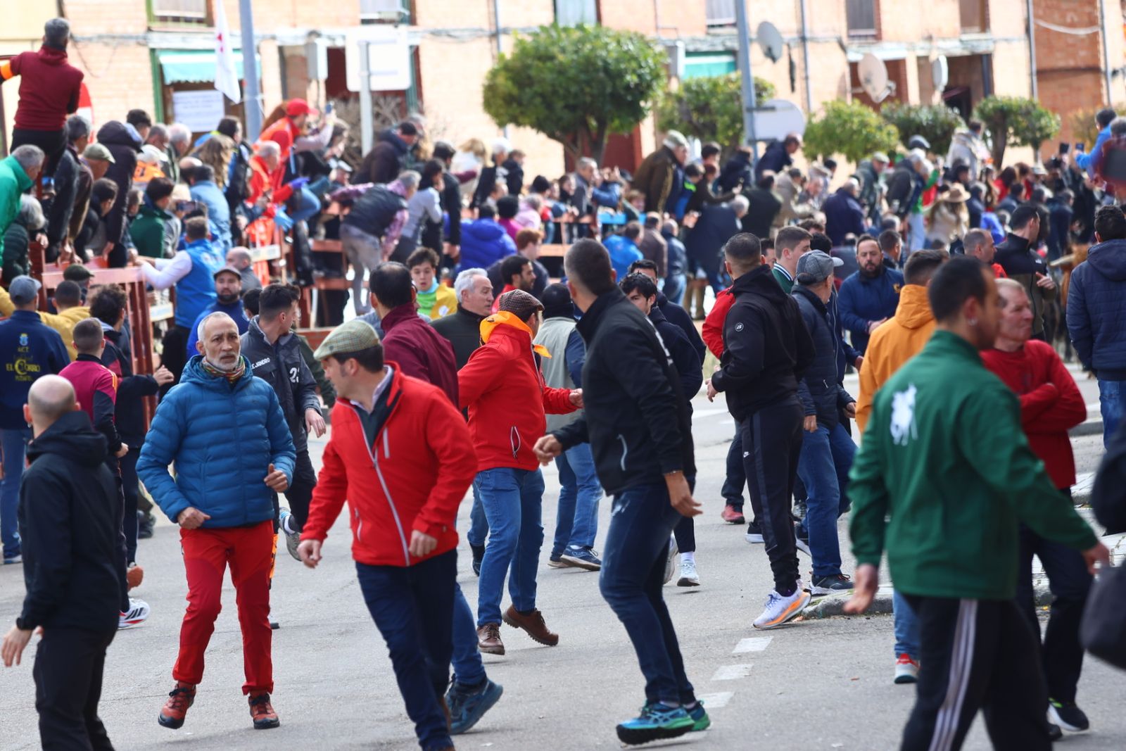 Encierro de martes en el Carnaval del Toro de Ciudad Rodrigo 2026