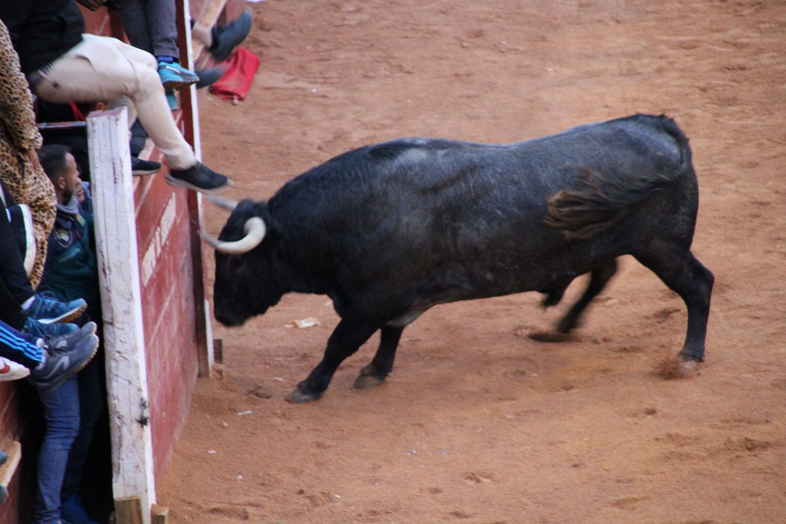 whatsapp-image-2025-03-02-at-19-32-37