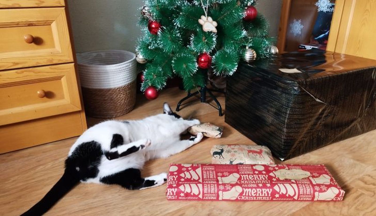 Cooper recibiendo su regalo de Reyes Magos