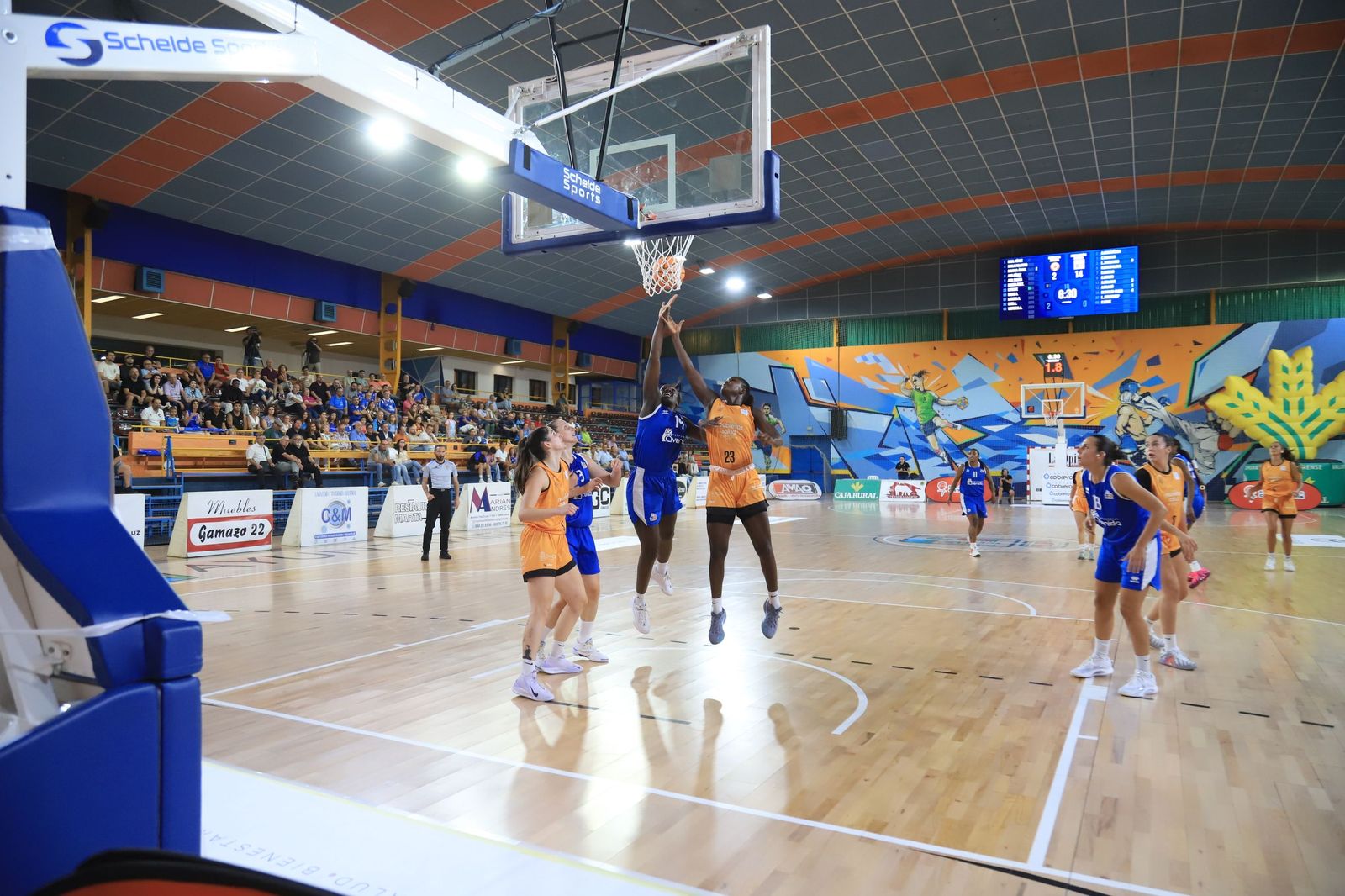 Copa Baloncesto Castilla y León: Zamarat-Avenida