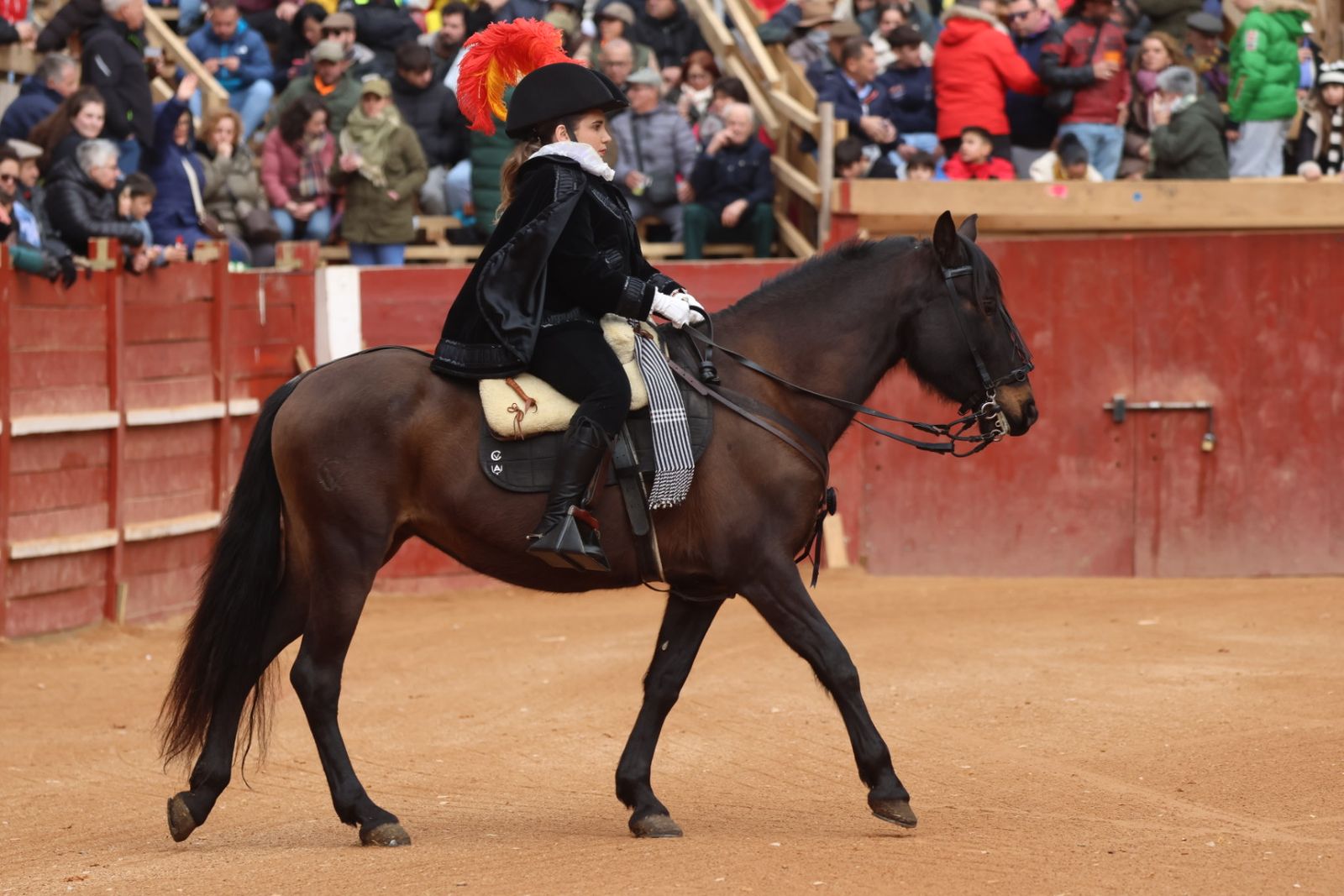 Novillada sin picadores del bolsín taurino y rejones en Ciudad Rodrigo