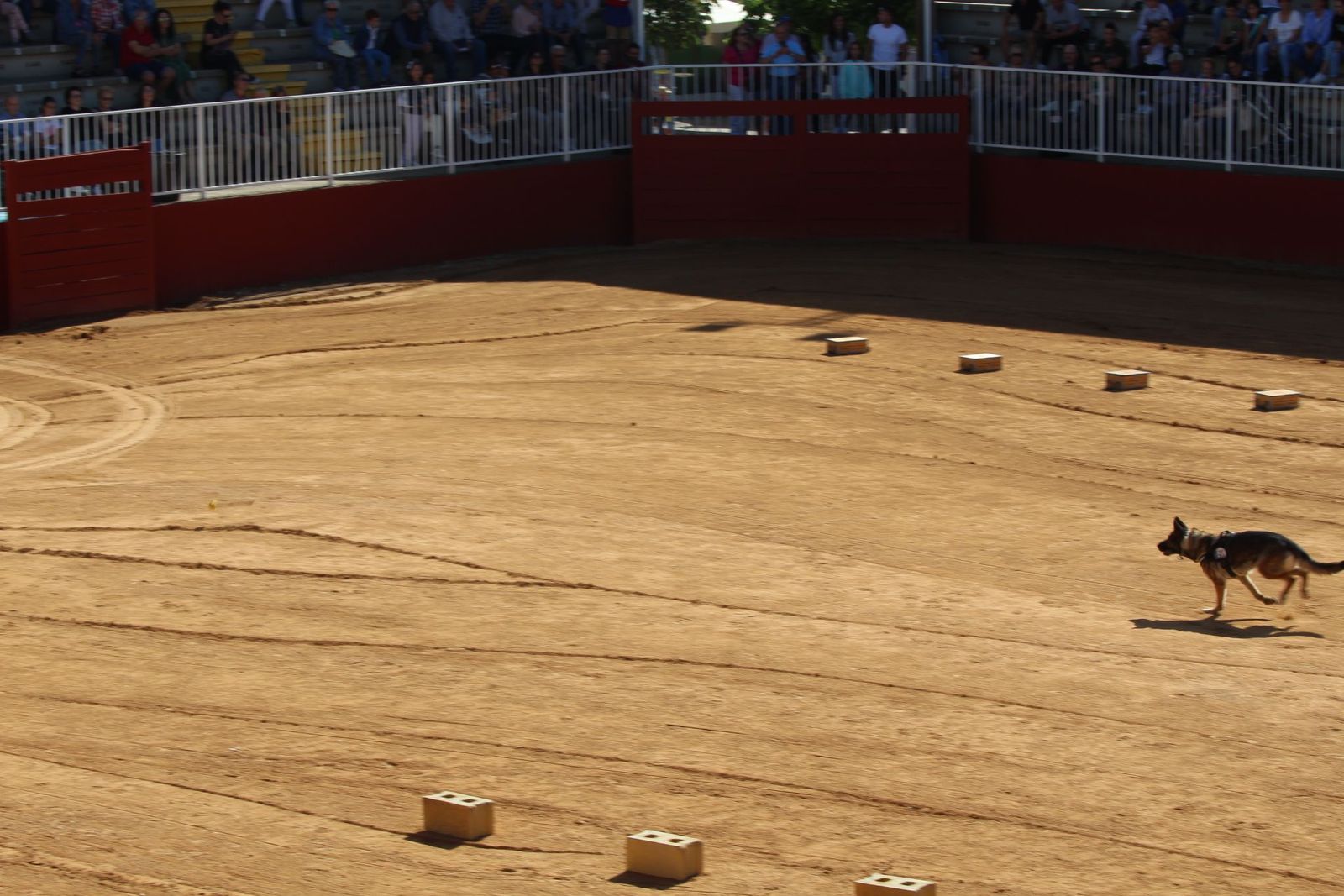 20230905122922-img-7968