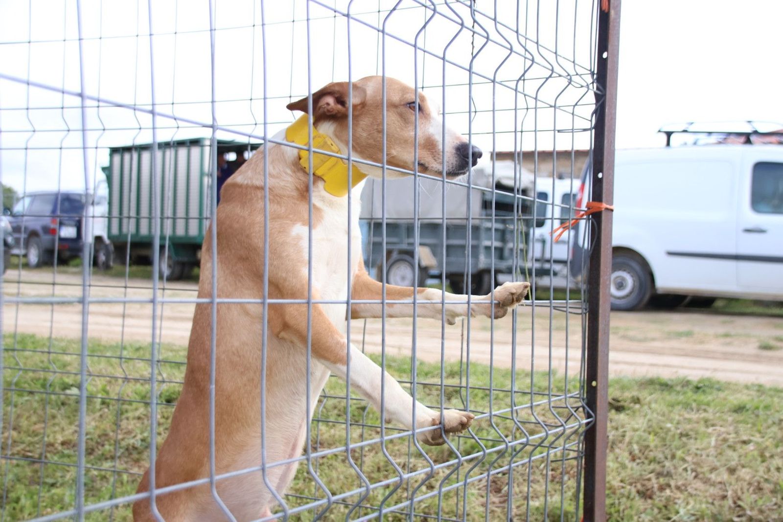 20240501103849-img-2944