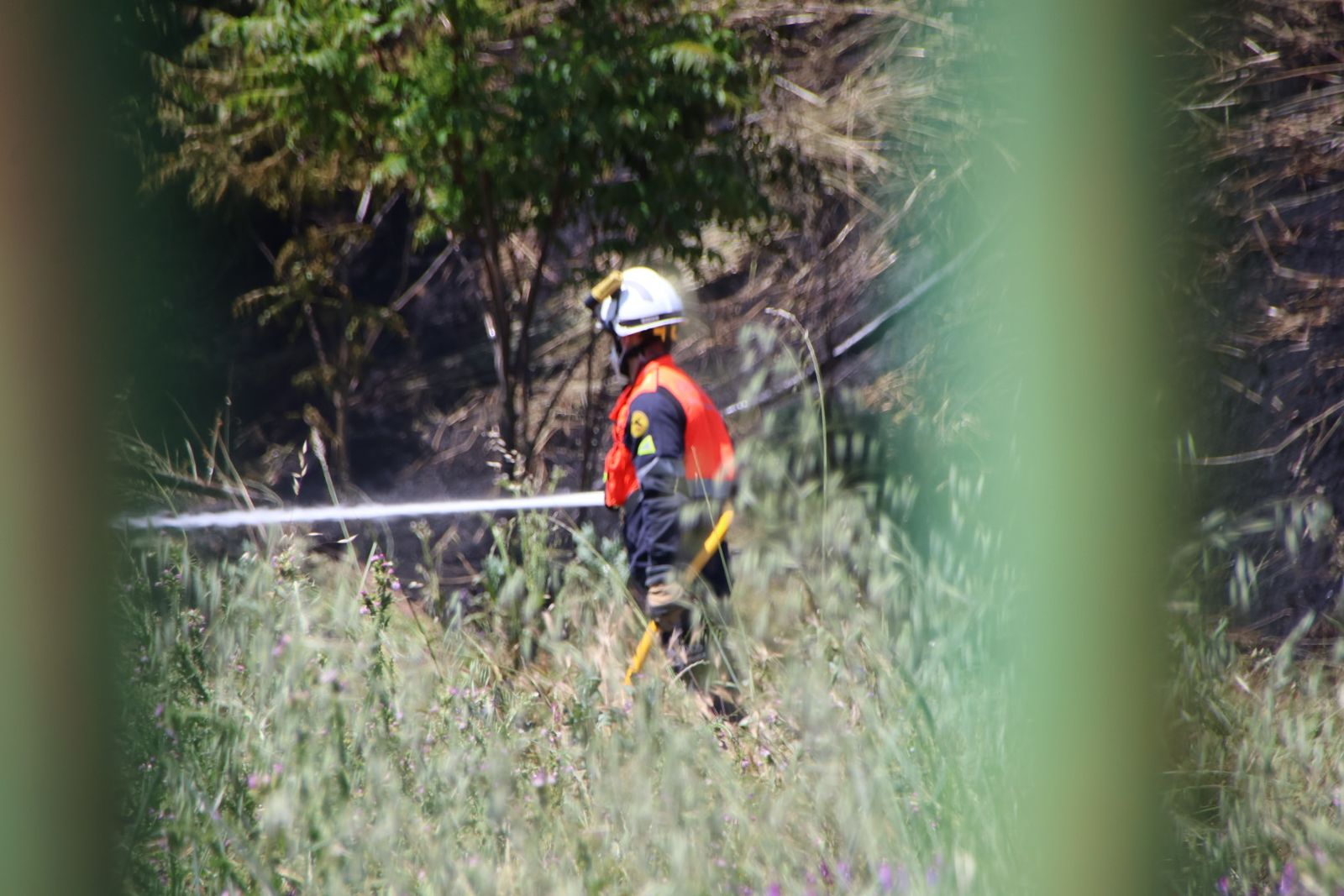 Un incendio de pasto moviliza a varios efectivos de emergencias y corta las inmediaciones de la avenida de La Aldehuela