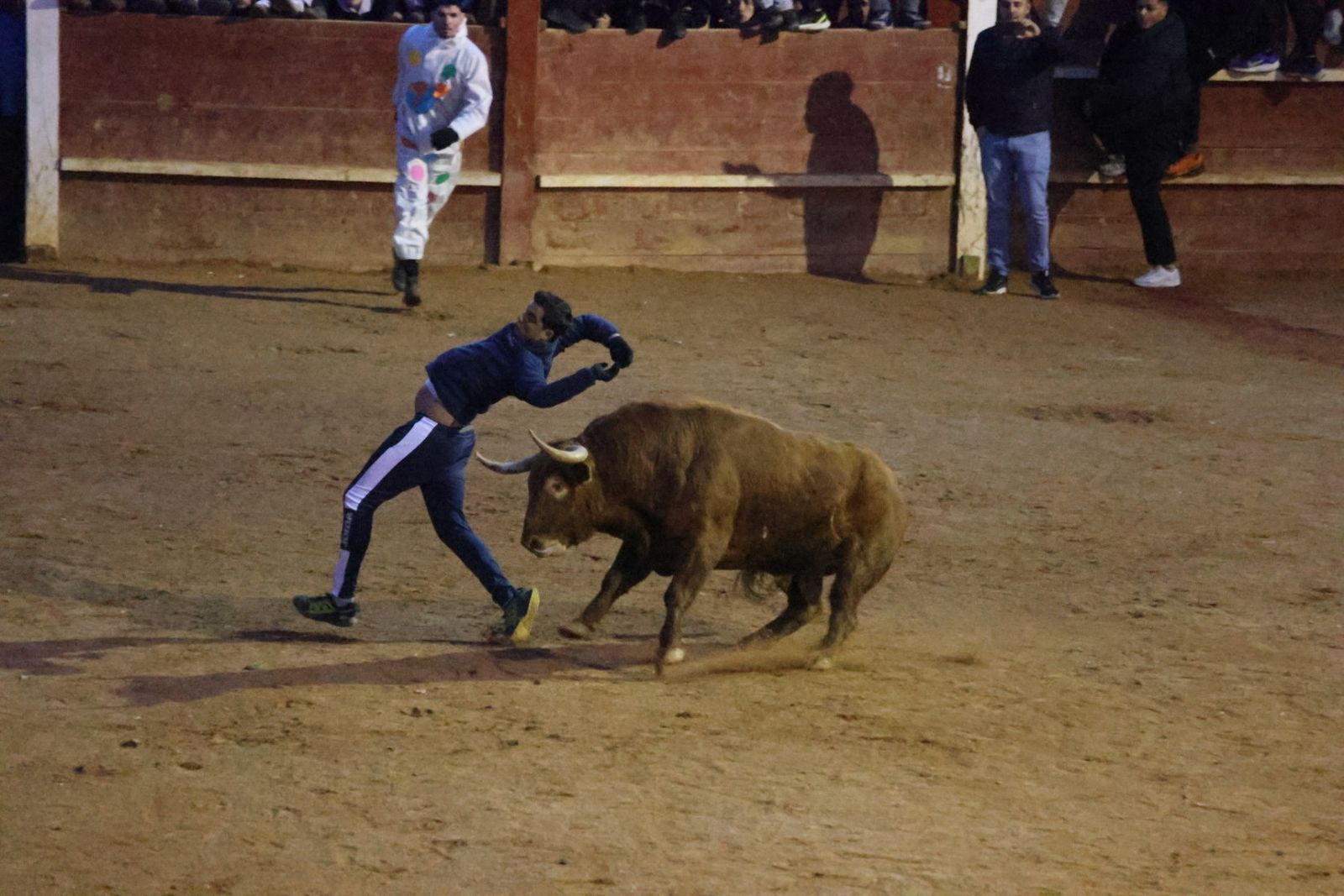 Capea de Sábado tarde en el Carnaval del Toro de Ciudad Rodrigo