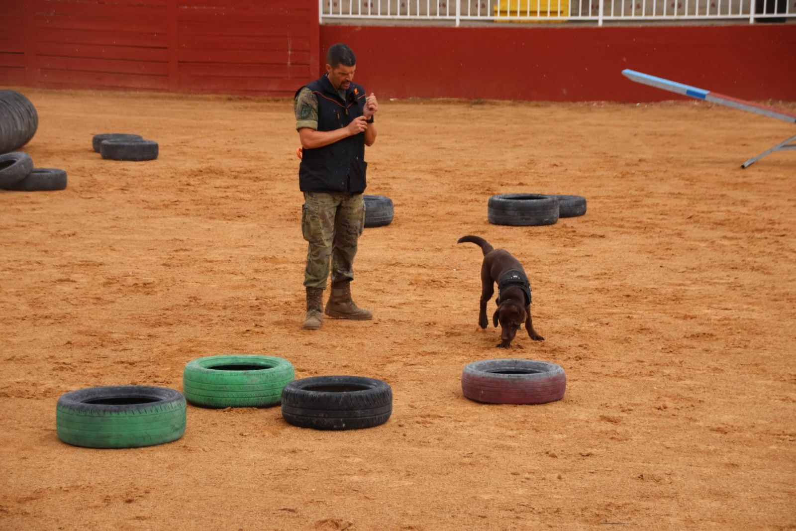 20230902114210-img-7174