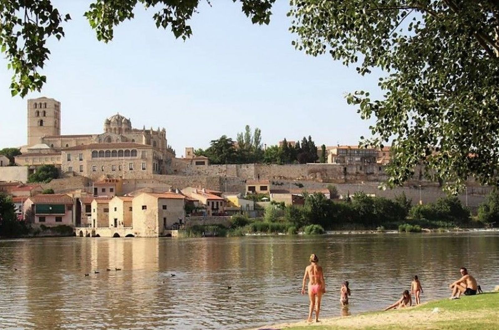 36828595 911070912397802 6374467890946506752 n